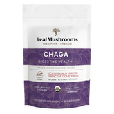 Extrait de Chaga (poudre)